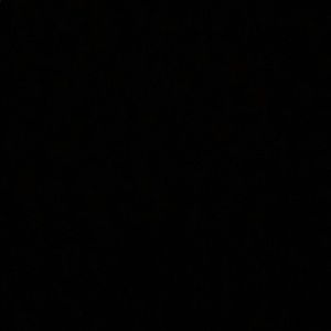 Meet your Posher, Lilah